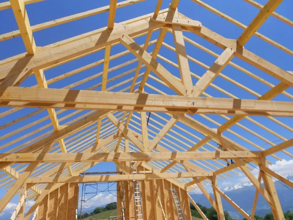 charpente (4)